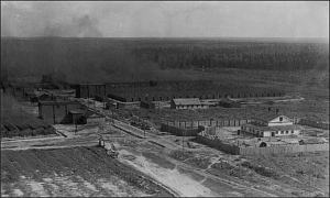 Крутянские сажевые...